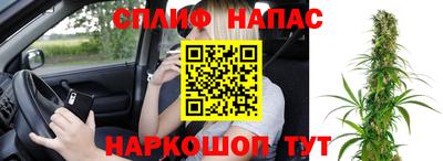 spice Новозыбков
