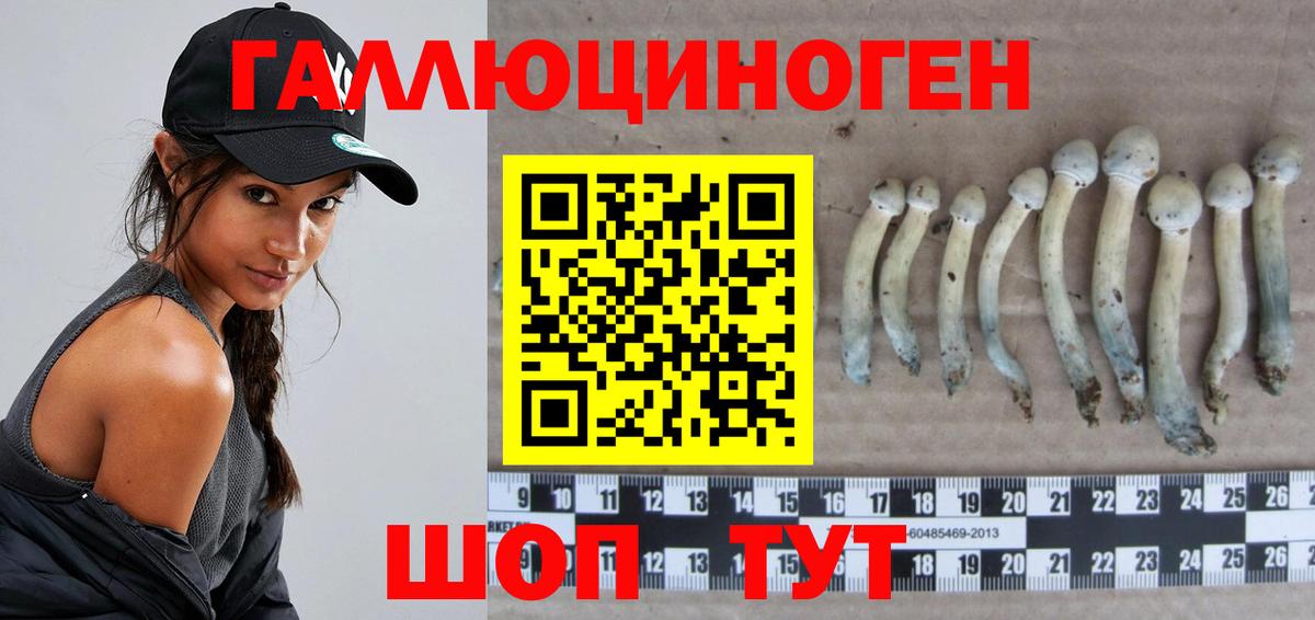 Спасск-Дальний  купить наркоту  Вход с VPN  Псилоцибиновые грибы Magic Shrooms 